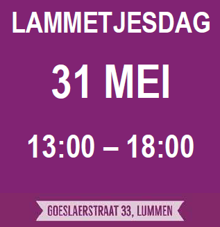 Lammetjesdag